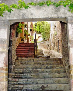 StepsDSC02704