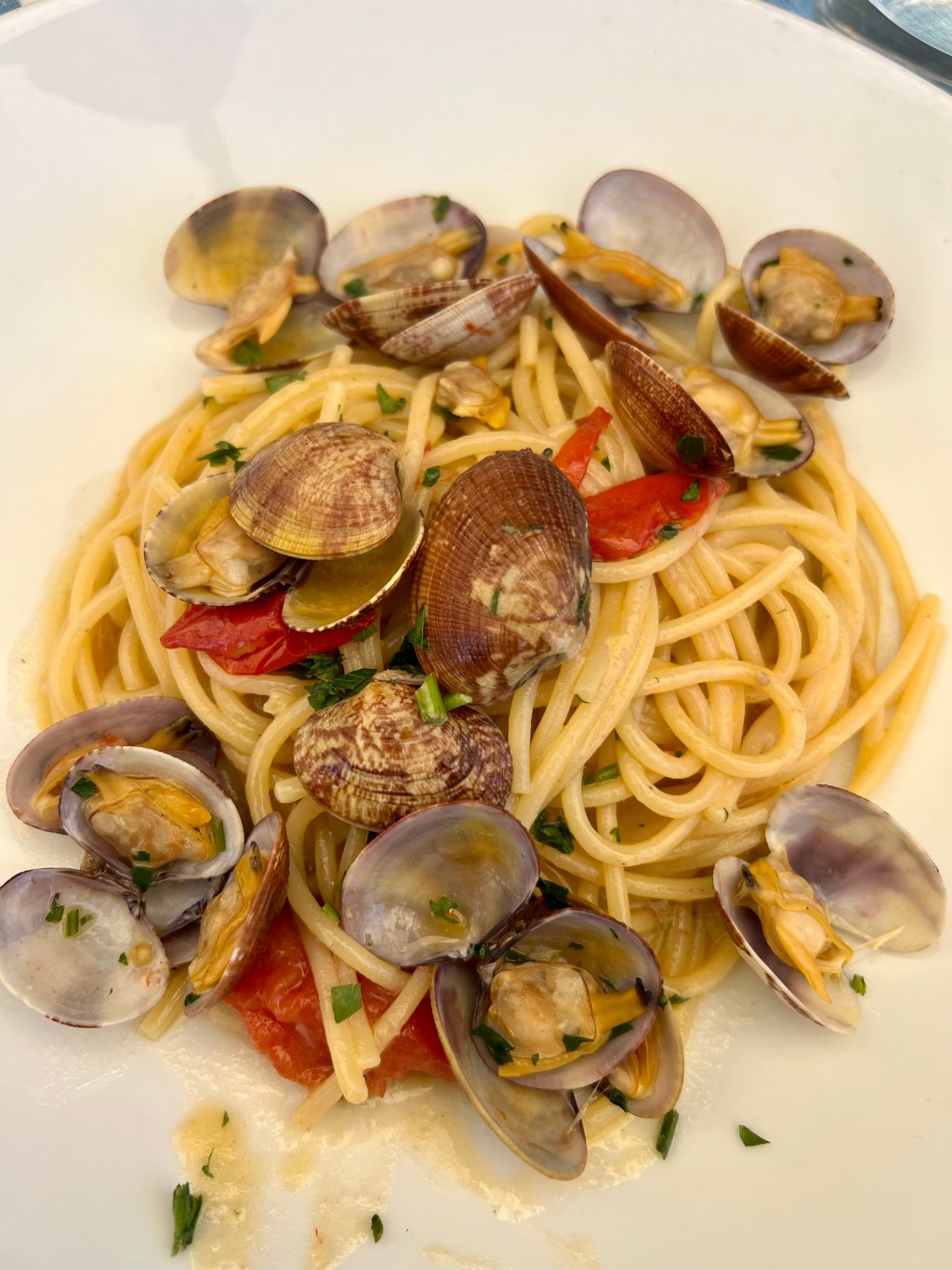 In search of the perfect “Spaghetti with&nbsp;Clams”